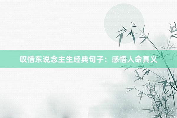 叹惜东说念主生经典句子：感悟人命真义